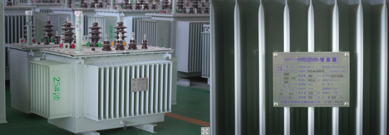 GNEE's Oil Immersed Transformer GNEE's Oil Immersed Transformer
